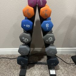 Dumbbell Weights 