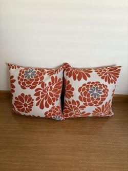 Brand New Throw Pillows