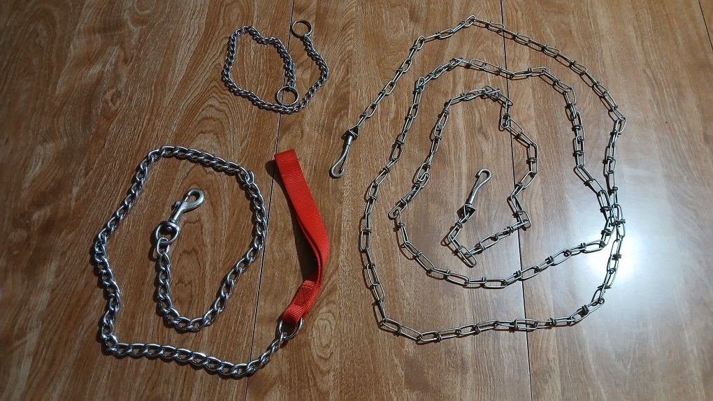 Dog Leashes