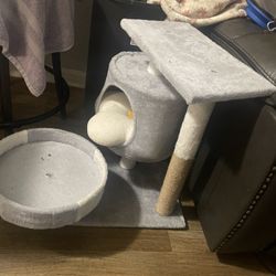 Cat House