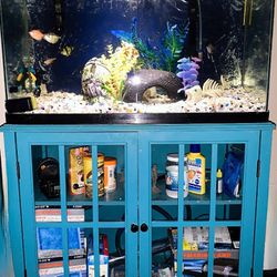 All You Need 39 Gallon Fish Tank &stand W/fish And Decor
