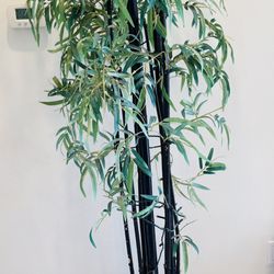 Tall Standing Tree - Plant 