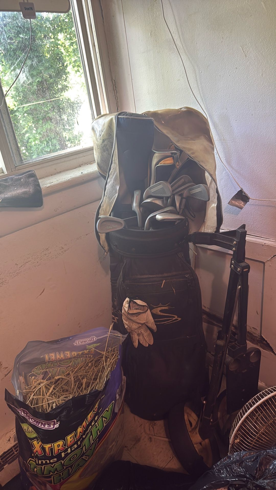 Women, golf clubs