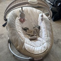 Baby Bouncer 