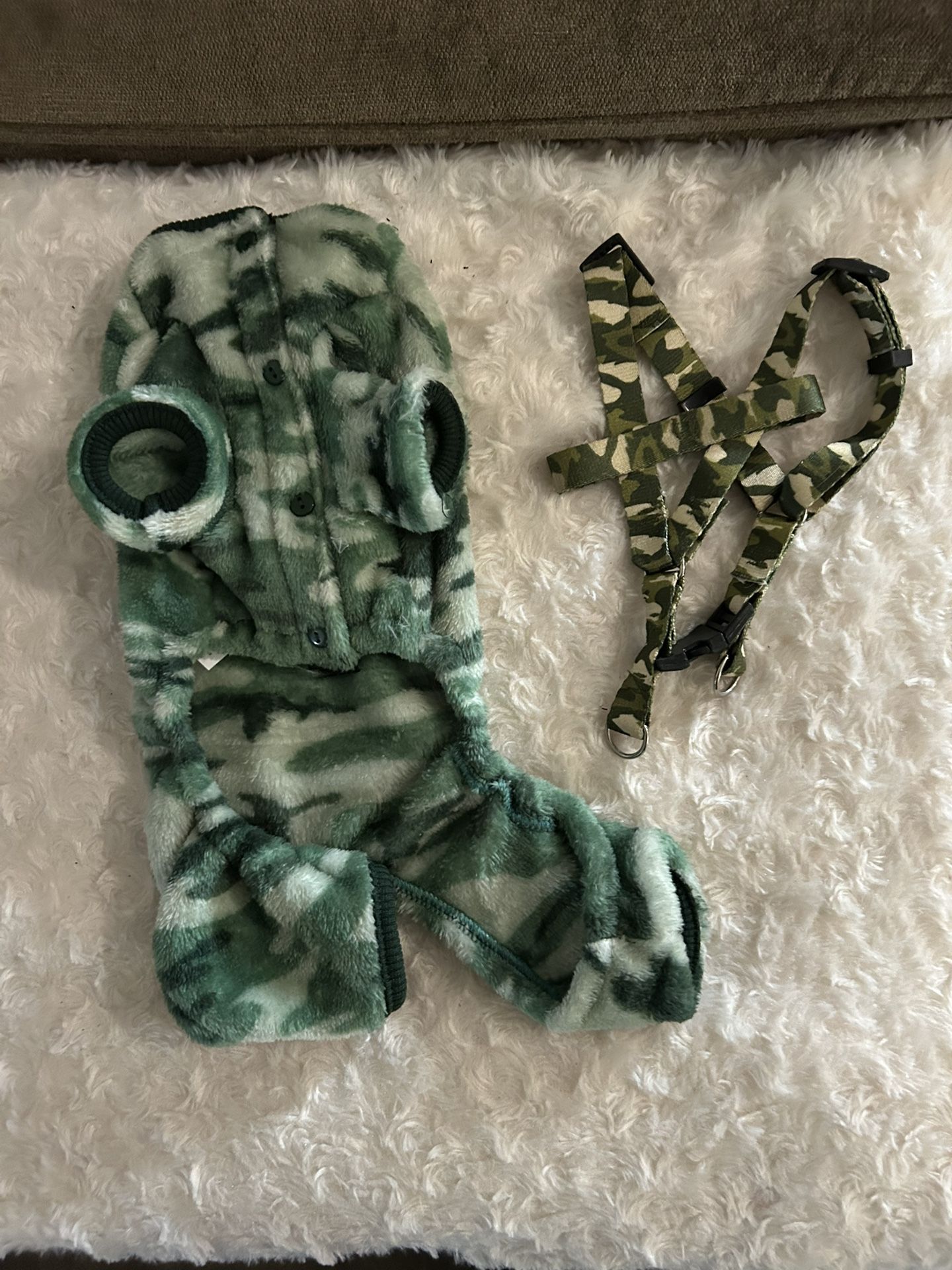 Puppy Outfit
