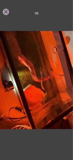 Glass tank