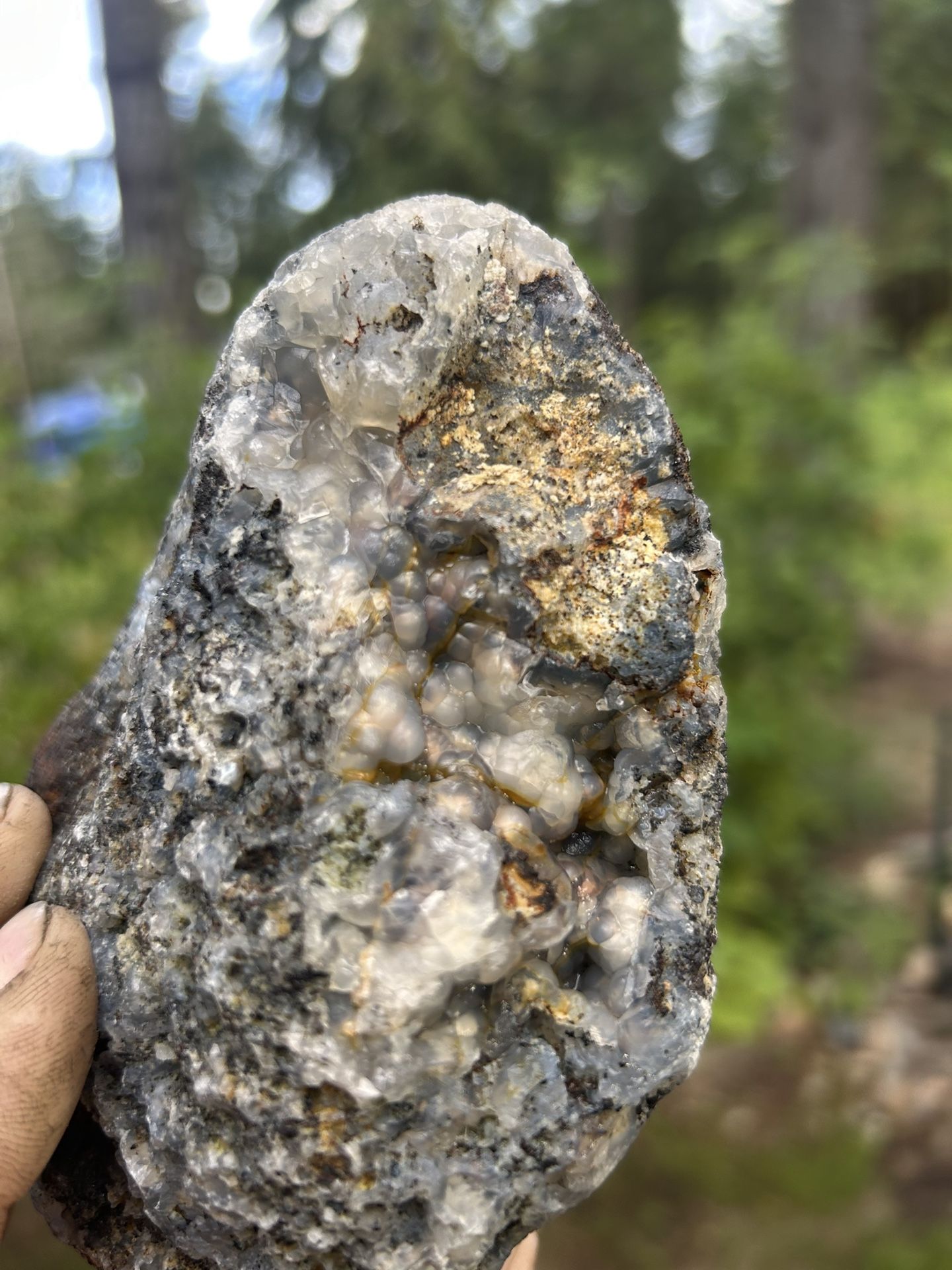 Large Multi Colored Botryoidal Agate