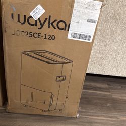 Waykar Dehumidifiers 