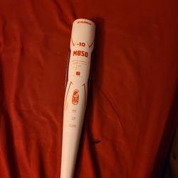 USSSA AXE BAT