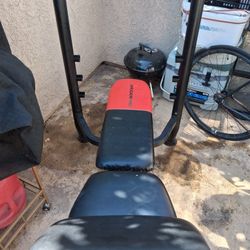 Work Out Bench