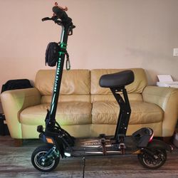 Electric Scooter 