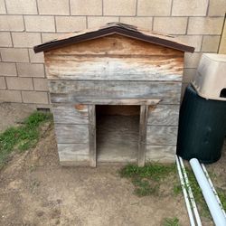 Dog House