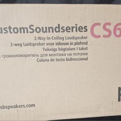Psb Cs610 In Ceiling Speaker 