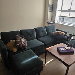 Beautiful Forest Green Couch