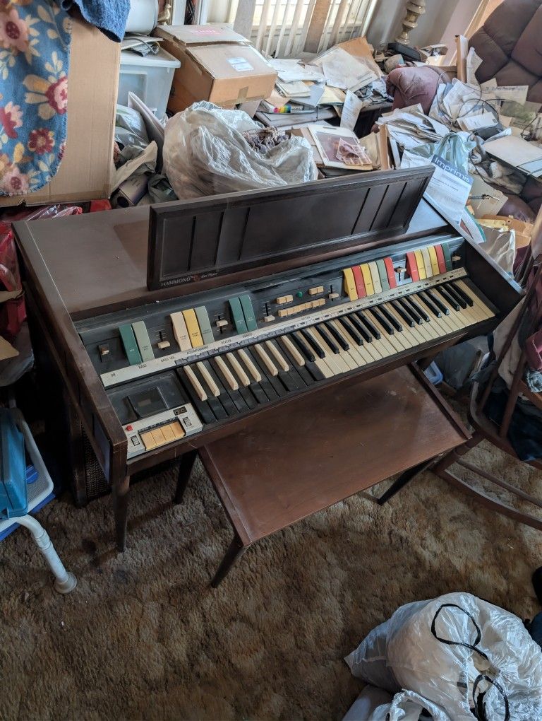 🎹 VINTAGE HAMMOND PIPER TUBE ORGAN - EXCELLENT CONDITION 🎹
