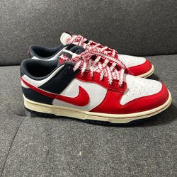 Nike Dunks 9.5