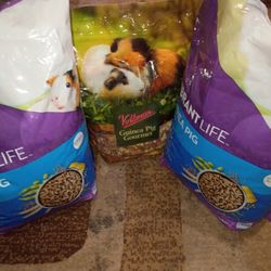 Good Shape Two Big Bag Guinea Pig Food And One Small Guinea Pig Food