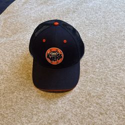 Astros Hat