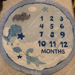 Milestone baby mat