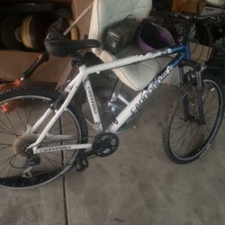Cannondale $1000 Bike For $300