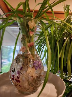 Handcrafted Vase with spider plant starts!