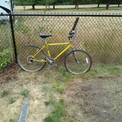 Mountain Bike, Small