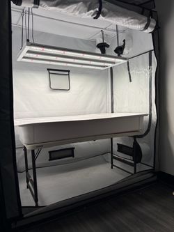 Pro 2x4 Tent Grow Hydroponic Setup