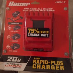 Bauer 3 AMP Rapid - Plus Charger