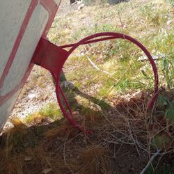 Basketball Hoop 