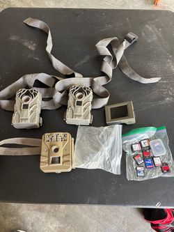 Deer cameras, SD reader and SD cards