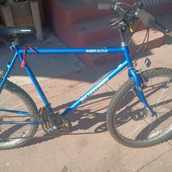 Schwinn Mirada Chicago Drive 