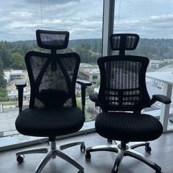 Two Ergonomic Chairs Combined