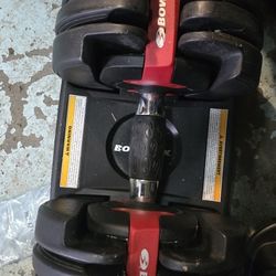 Bowflex Dumbells