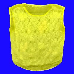 NWT Blouse Anthropology Champagne & Strawberry Top Sheer Tank Shirt Gift