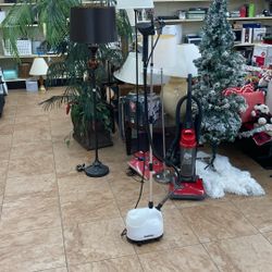 Standing Steam Fast Steamer