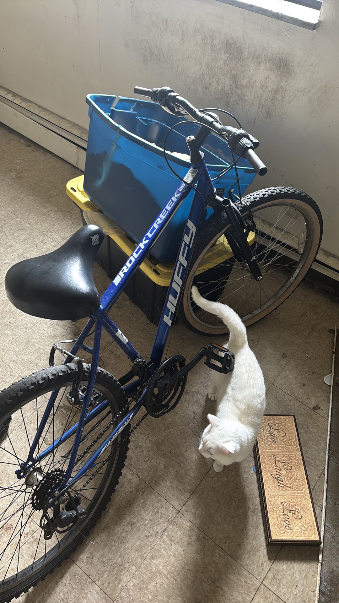 Huffy Mountain bike Need gone tonight