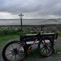 Beast mode Matte Black 27.5 Bike