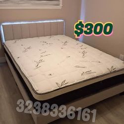 Queen Size Bed And Mattress 