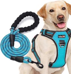 Dog Harness Large with Leash