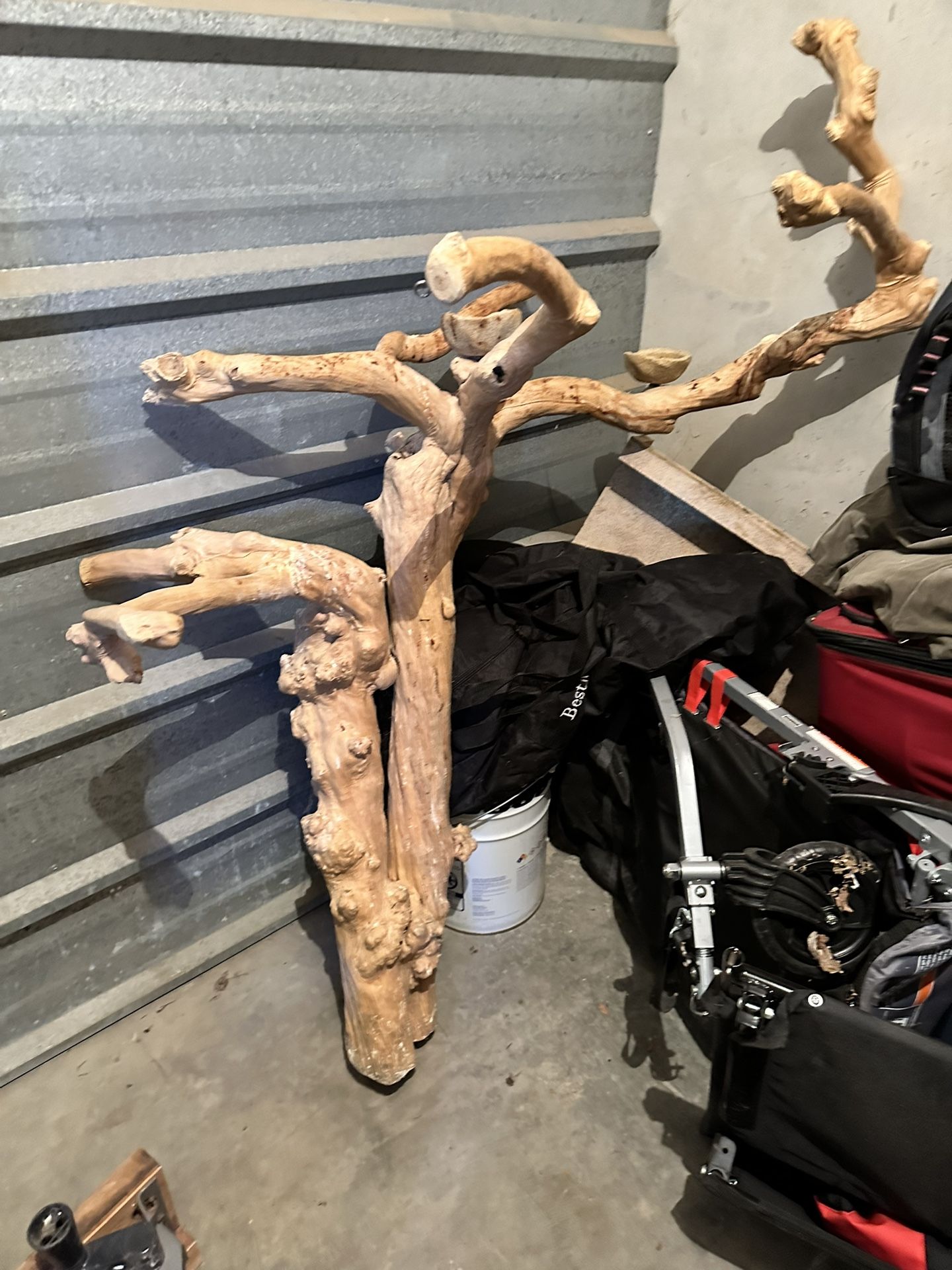 Bird Tree Stand