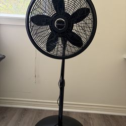 Lasko Fan
