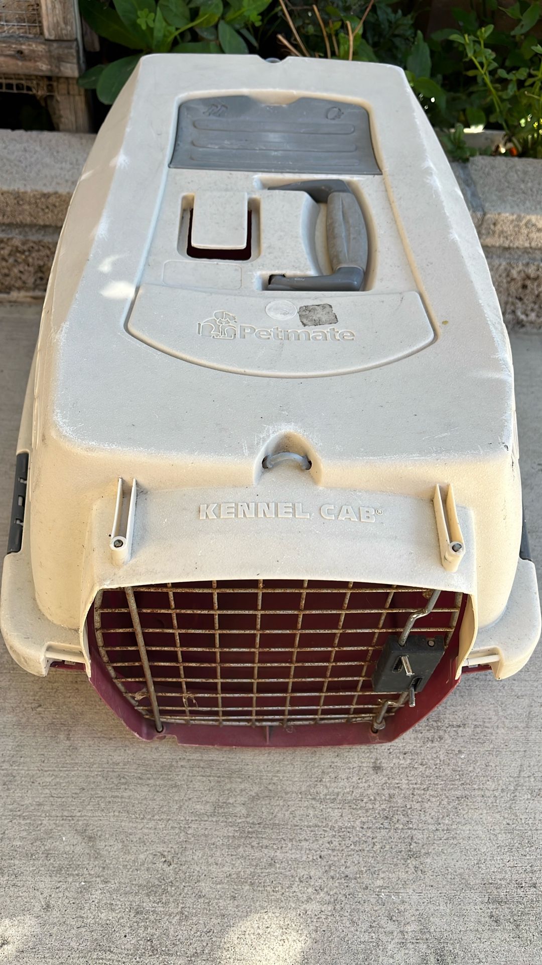Petmate Kennel Carrier