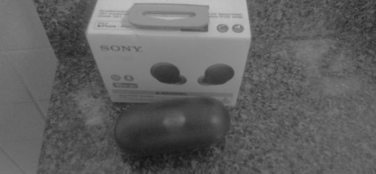 Sony earbuds wf-c500