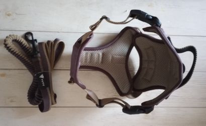 LV dog Harness for Sale in Bronx, NY - OfferUp