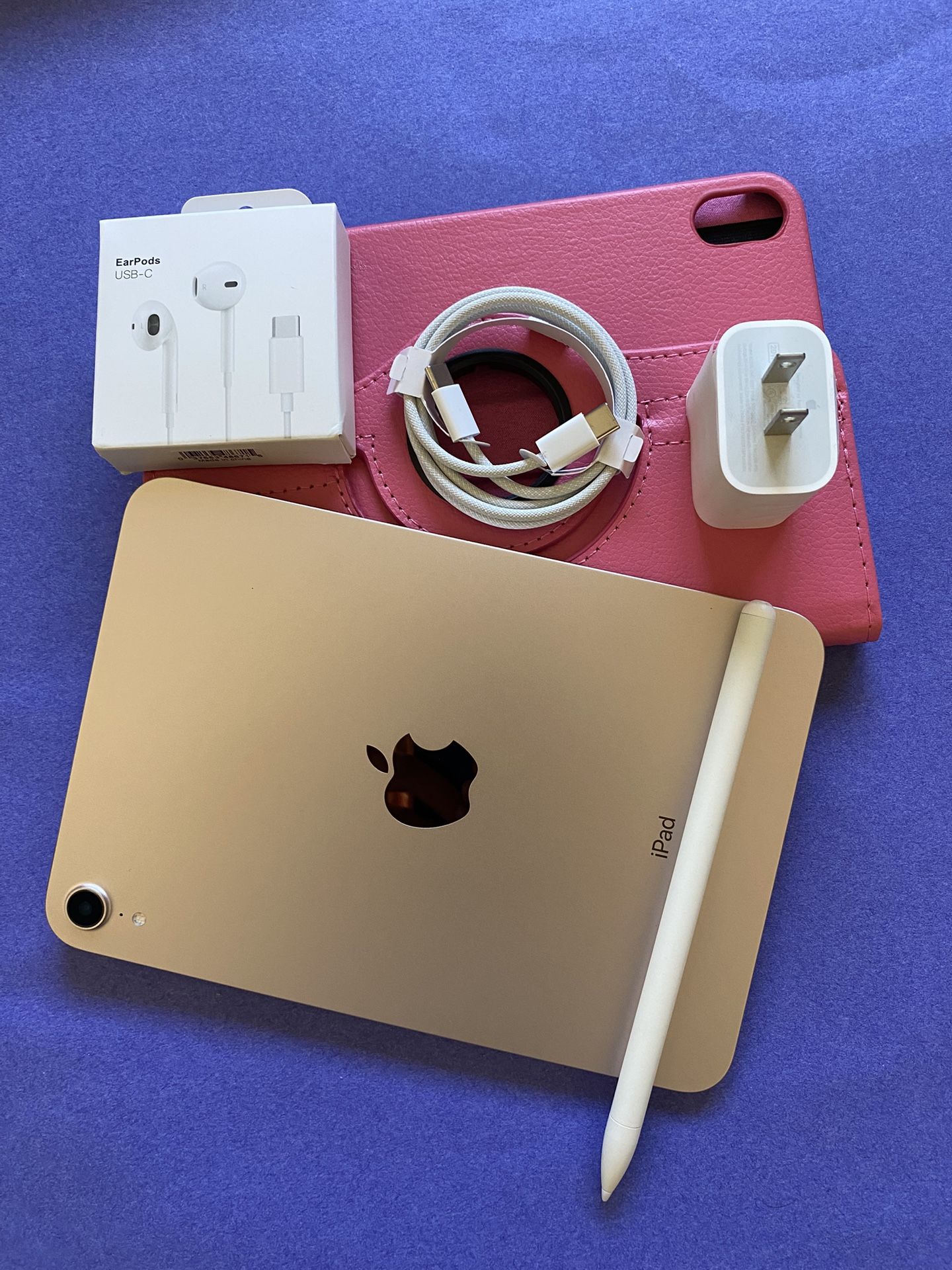 Apple iPad Mini 6th Generation (2021 model / Pink) 64GB with Pink Case, Pen & Accessories 