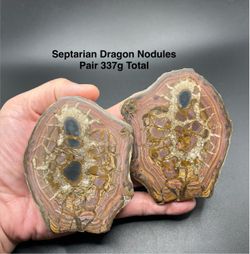 Septarian Dragon Nodules (Pair) from Morocco 337g Total