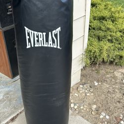 Everlast Heavy Bag