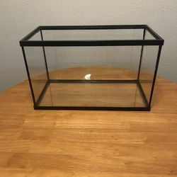 Full Aquarium Set + $65 Credit For Fish/Live Plants
