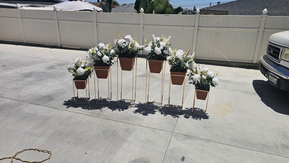 Flower And Stands 