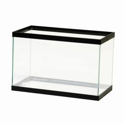 10 gallon fish tank